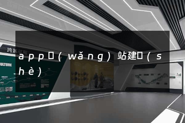 app網(wǎng)站建設(shè)