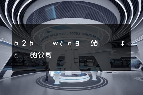 b2b網(wǎng)站開發(fā)的公司