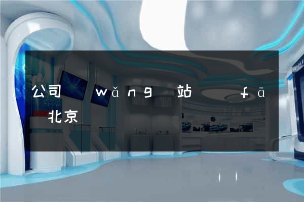 公司網(wǎng)站開發(fā)北京