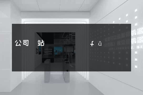 公司網站設計與開發(fā)