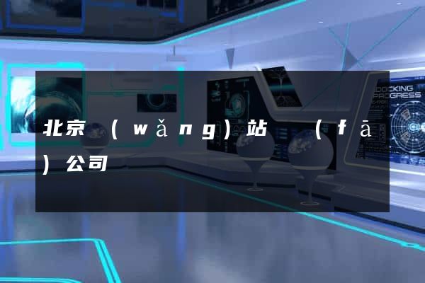 北京網(wǎng)站開發(fā)公司