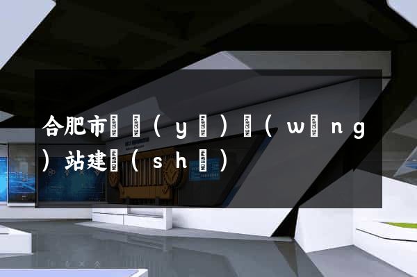 合肥市專業(yè)網(wǎng)站建設(shè)