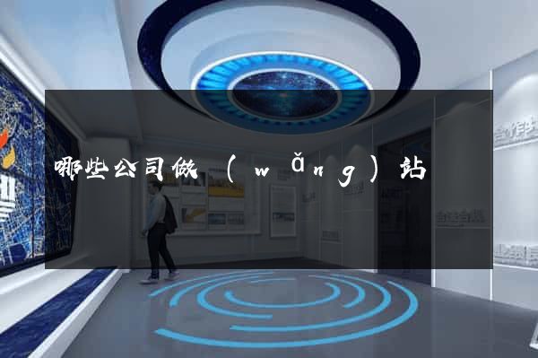 哪些公司做網(wǎng)站