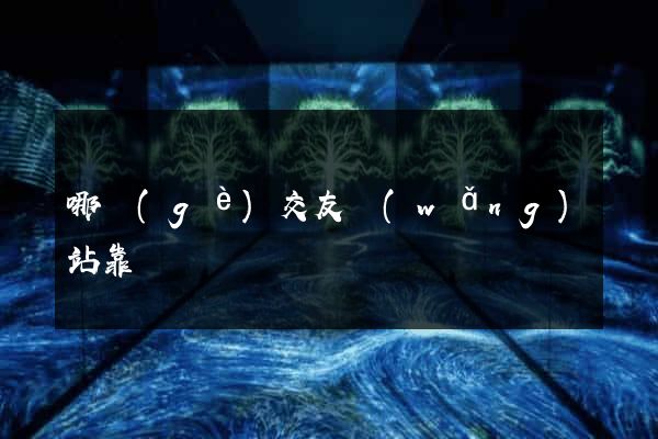 哪個(gè)交友網(wǎng)站靠譜