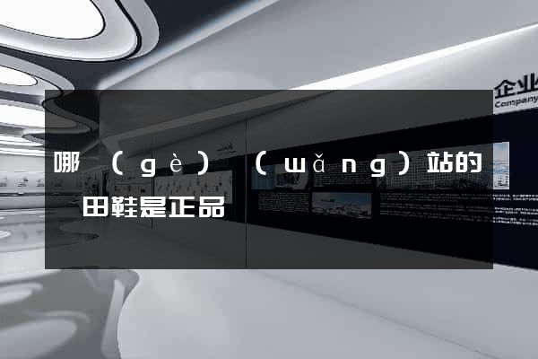 哪個(gè)網(wǎng)站的莆田鞋是正品