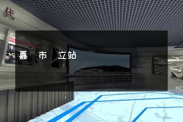 嘉興市獨立站運營