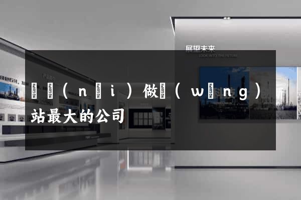 國內(nèi)做網(wǎng)站最大的公司