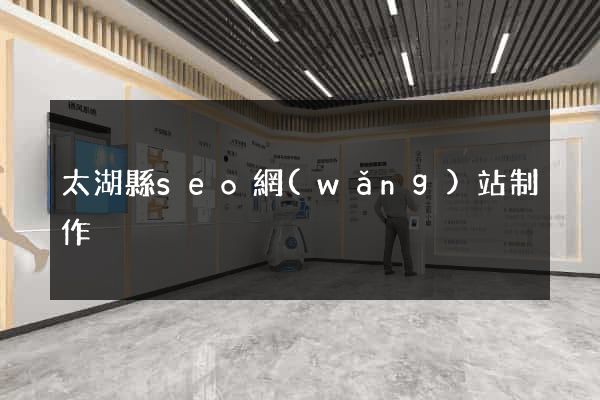 太湖縣seo網(wǎng)站制作