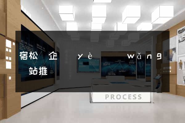 宿松縣企業(yè)網(wǎng)站推廣
