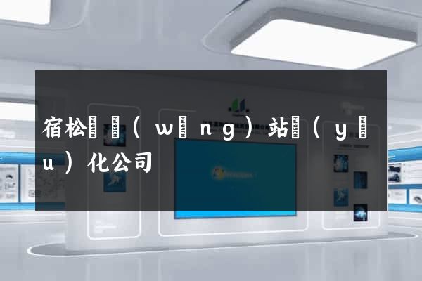宿松縣網(wǎng)站優(yōu)化公司
