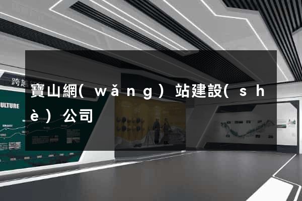 寶山網(wǎng)站建設(shè)公司