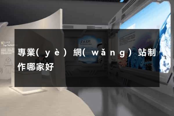 專業(yè)網(wǎng)站制作哪家好