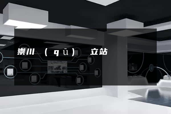 崇川區(qū)獨立站運營