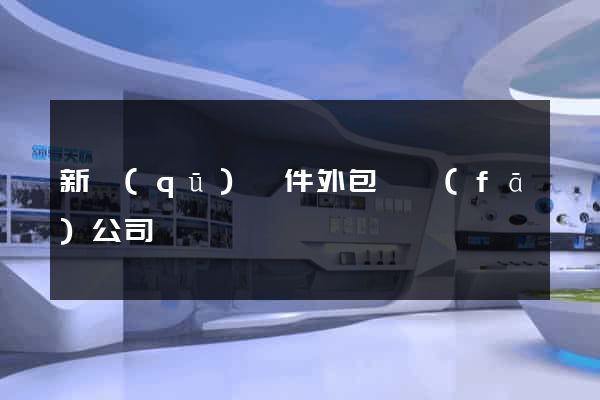 新區(qū)軟件外包開發(fā)公司