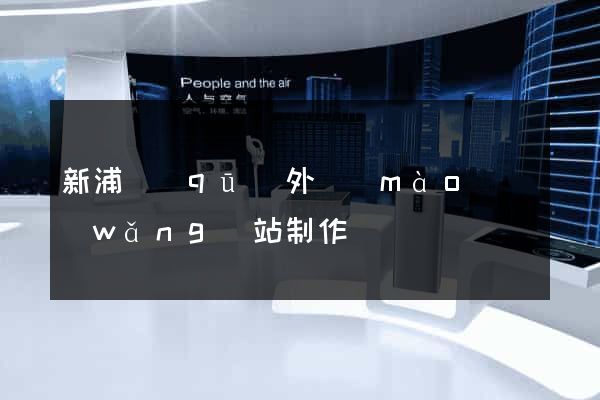 新浦區(qū)外貿(mào)網(wǎng)站制作