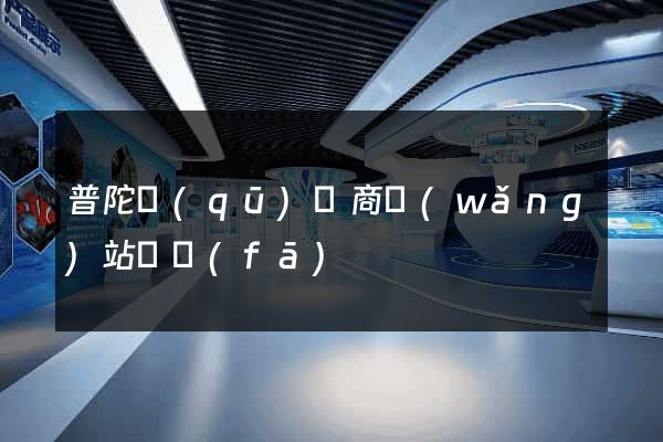 普陀區(qū)電商網(wǎng)站開發(fā)