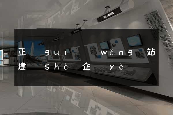 正規(guī)網(wǎng)站建設(shè)企業(yè)