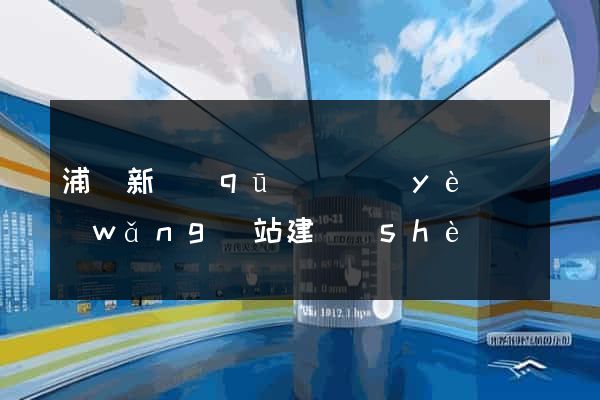 浦東新區(qū)專業(yè)網(wǎng)站建設(shè)