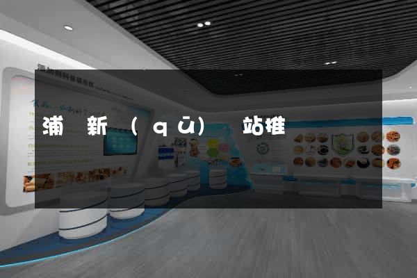 浦東新區(qū)網站推廣營銷