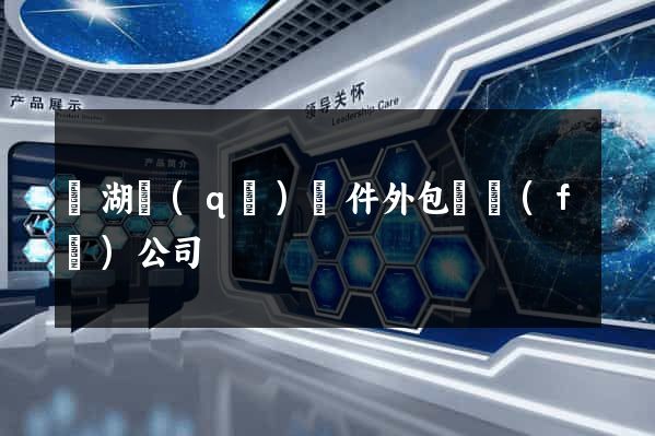 濱湖區(qū)軟件外包開發(fā)公司