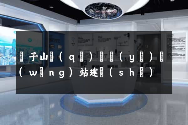 獅子山區(qū)專業(yè)網(wǎng)站建設(shè)