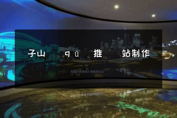 獅子山區(qū)推廣網站制作