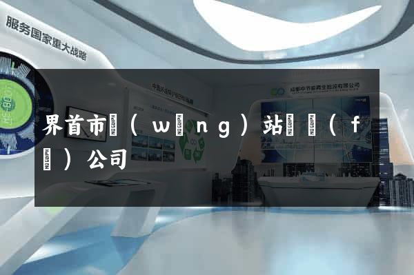 界首市網(wǎng)站開發(fā)公司