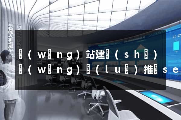網(wǎng)站建設(shè)網(wǎng)絡(luò)推廣seo
