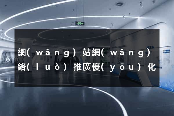 網(wǎng)站網(wǎng)絡(luò)推廣優(yōu)化