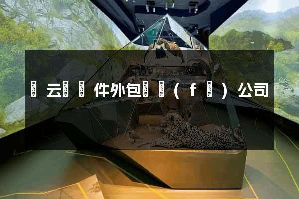 縉云縣軟件外包開發(fā)公司