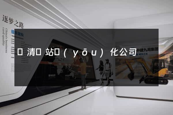 臨清網站優(yōu)化公司