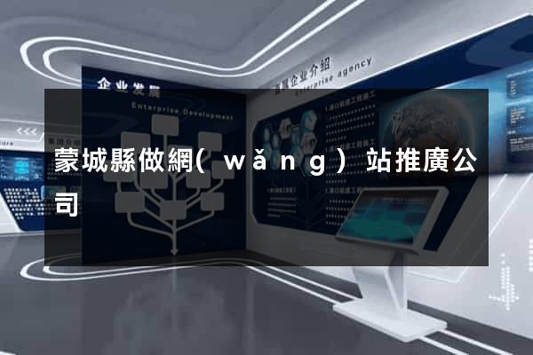 蒙城縣做網(wǎng)站推廣公司