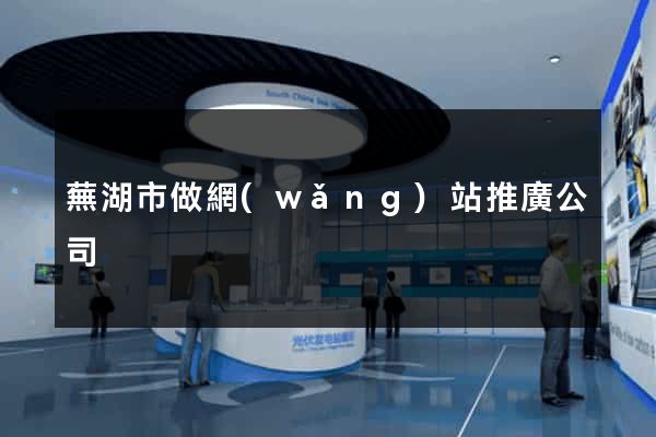 蕪湖市做網(wǎng)站推廣公司