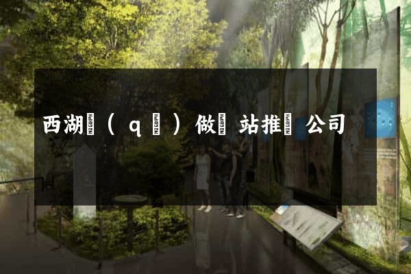 西湖區(qū)做網站推廣公司