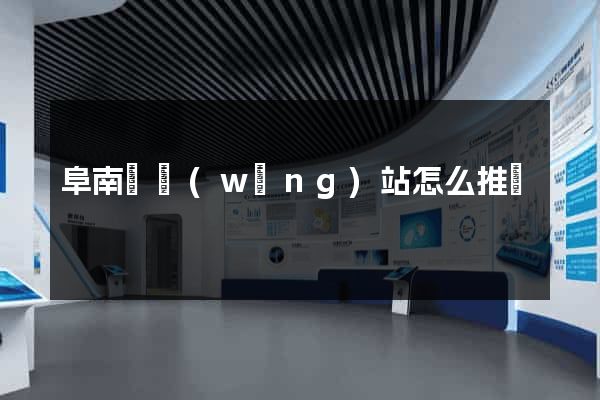 阜南縣網(wǎng)站怎么推廣
