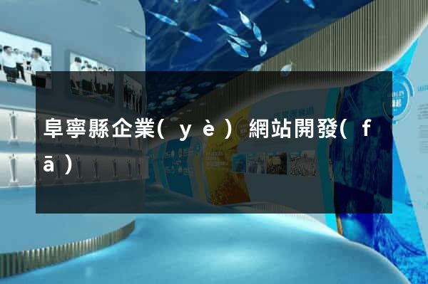 阜寧縣企業(yè)網站開發(fā)