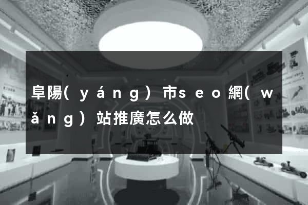 阜陽(yáng)市seo網(wǎng)站推廣怎么做