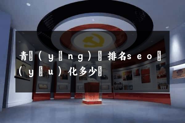 青陽(yáng)縣排名seo優(yōu)化多少錢
