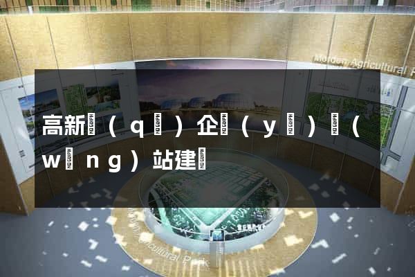高新區(qū)企業(yè)網(wǎng)站建設