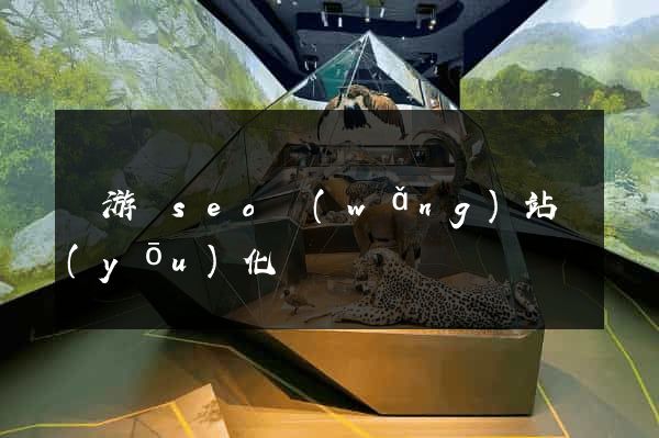 龍游縣seo網(wǎng)站優(yōu)化