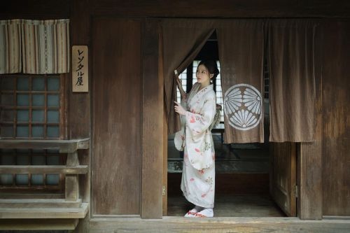 seo免費(fèi)優(yōu)化網(wǎng)站